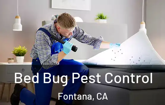  Bed Bug Pest Control Fontana, CA