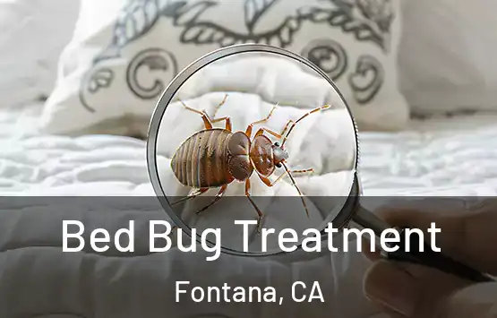  Bed Bug Treatment Fontana, CA
