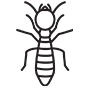 Termites Pest Control Fontana, California