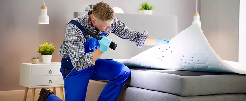 bed-bug-treatment in Fontana, CA