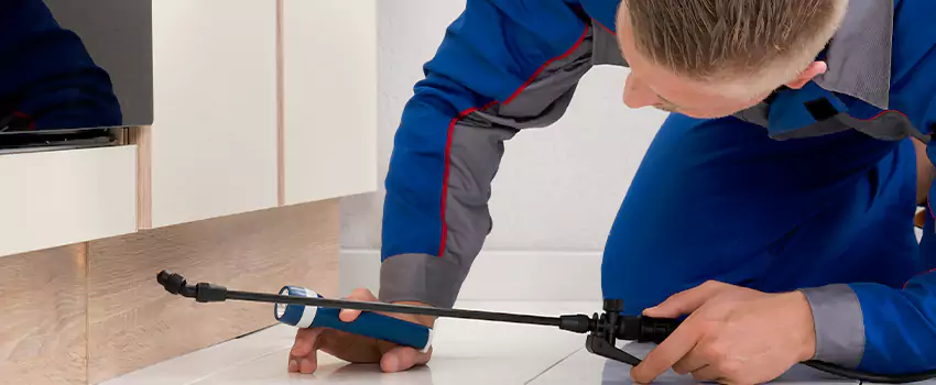 Commercial Pest Control for Offices in Fontana, CA