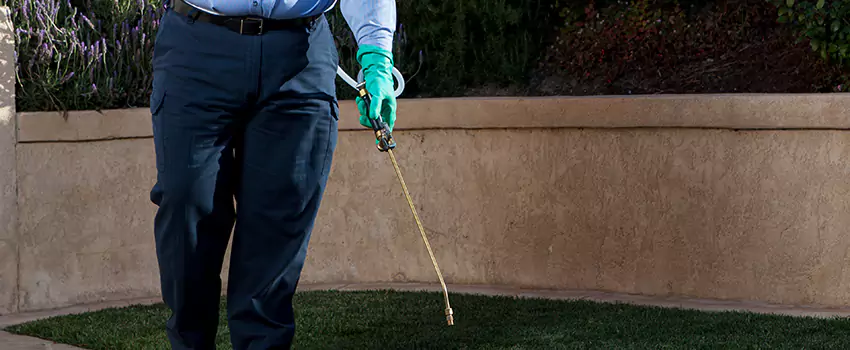 Emergency Pest Extermination for Children and Pets Fontana, CA