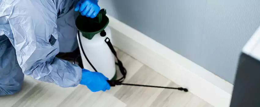 cockroach-exterminator in Fontana, CA