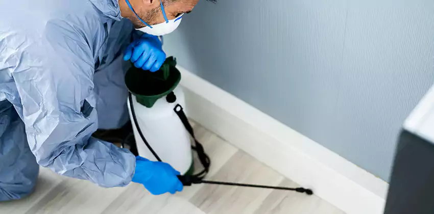 commercial-pest-exterminator in Fontana, CA