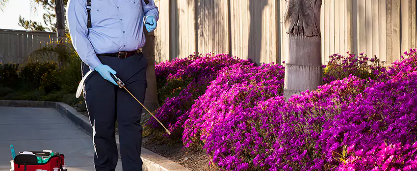 grub-treatment in Fontana, CA