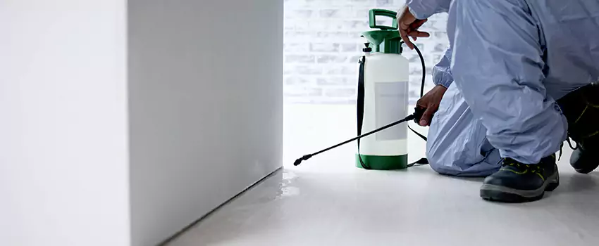 residential-pest in Fontana, CA