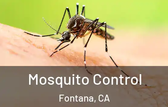  Mosquito Control Fontana, CA