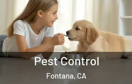  Pest Control Fontana, CA