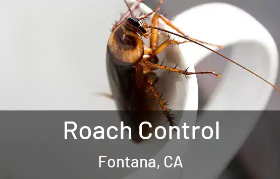  Roach Control Fontana, CA