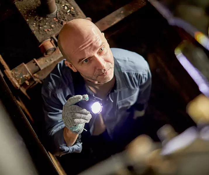 About Pest Inspection Fontana