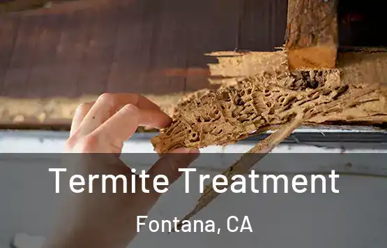  Termite Treatment Fontana, CA