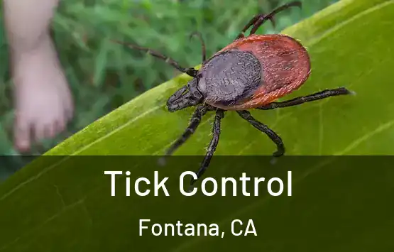  Tick Control Fontana, CA